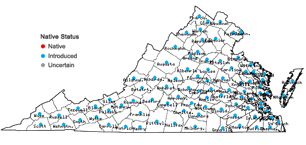 Locations ofVeronica persica Poiret in Virginia