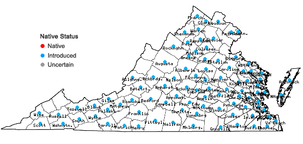 Locations ofVeronica persica Poiret in Virginia