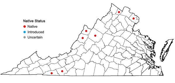 Locations ofVeronica scutellata L. in Virginia