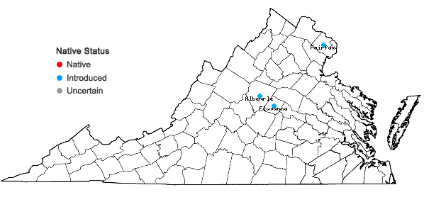 Locations ofVeronica sublobata M.A. Fischer in Virginia