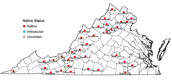 Locations ofVeronicastrum virginicum (L.) Farwell in Virginia