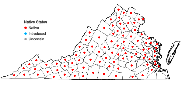 Locations ofViburnum acerifolium L. in Virginia