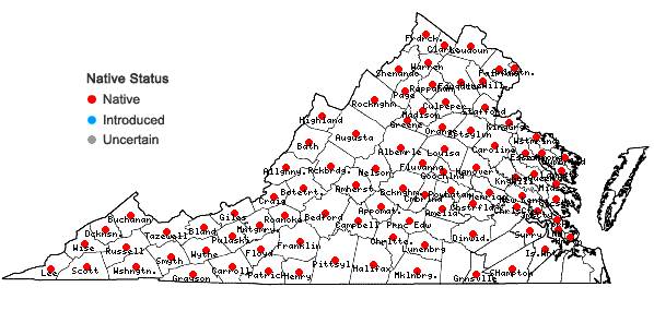 Locations ofViburnum acerifolium L. in Virginia