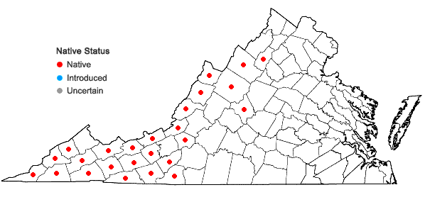 Locations ofViburnum cassinoides L. in Virginia