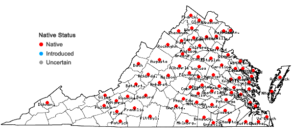 Locations ofViburnum dentatum complex in Virginia