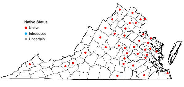 Locations ofViburnum dentatum L. in Virginia