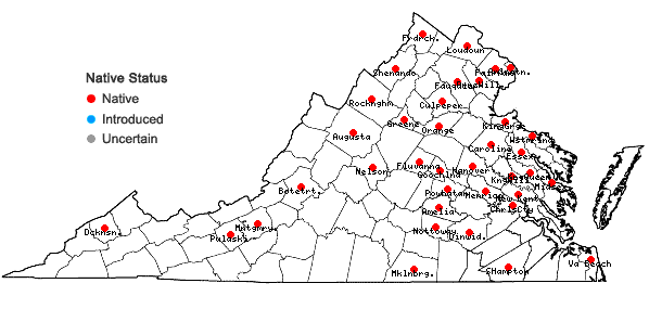 Locations ofViburnum dentatum L. in Virginia