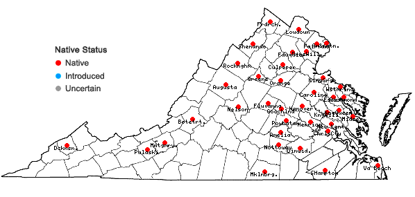 Locations ofViburnum dentatum L. in Virginia
