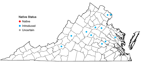 Locations ofViburnum dilatatum Thunberg in Virginia