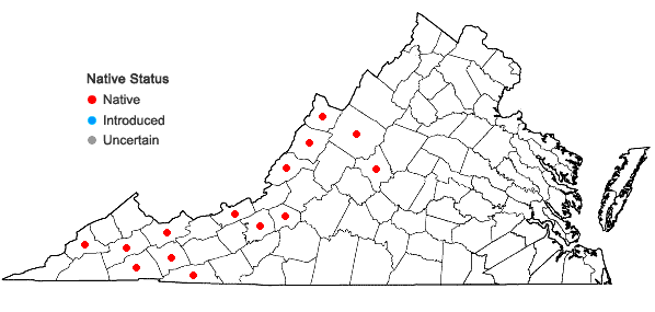 Locations ofViburnum lantanoides Michx. in Virginia
