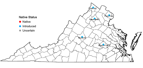 Locations ofViburnum opulus L. var. opulus in Virginia