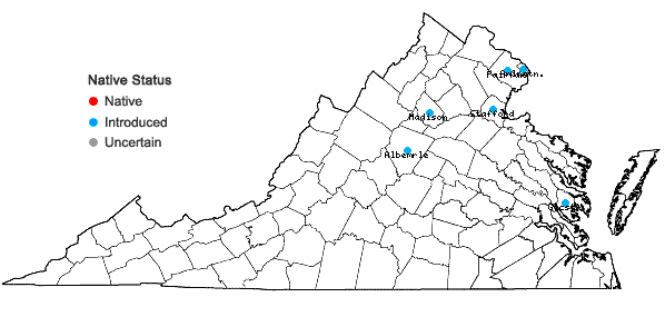 Locations ofViburnum plicatum Thunb. in Virginia