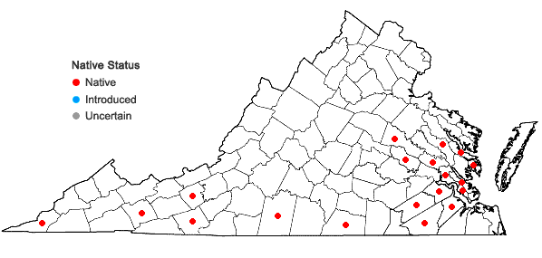 Locations ofViburnum rufidulum Raf. in Virginia