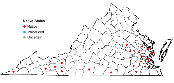 Locations ofViburnum rufidulum Raf. in Virginia