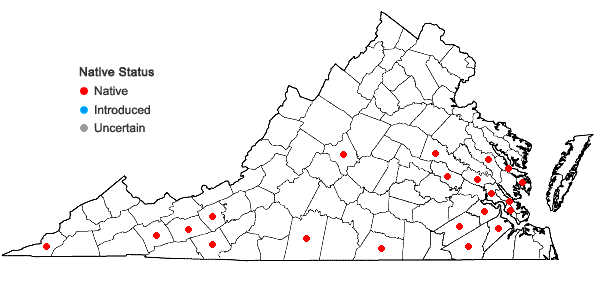 Locations ofViburnum rufidulum Raf. in Virginia