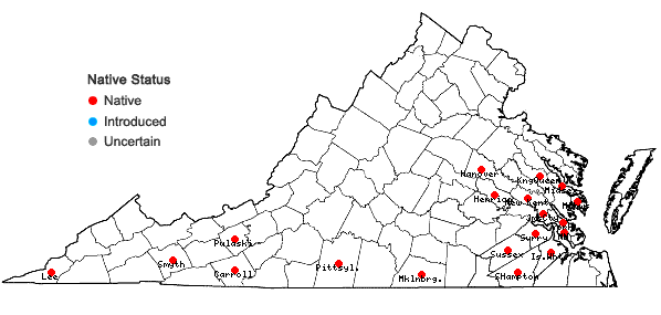 Locations ofViburnum rufidulum Raf. in Virginia