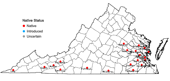 Locations ofViburnum rufidulum Raf. in Virginia