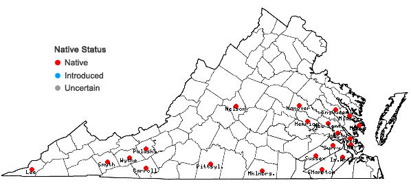 Locations ofViburnum rufidulum Raf. in Virginia