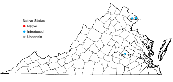 Locations ofViburnum setigerum Hance in Virginia