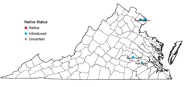 Locations ofViburnum setigerum Hance in Virginia