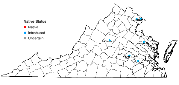Locations ofViburnum setigerum Hance in Virginia