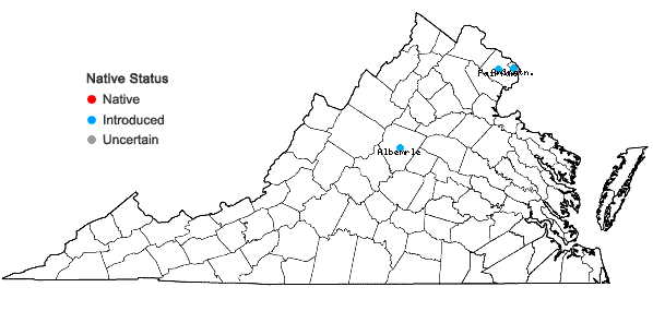 Locations ofViburnum sieboldii Miq. in Virginia