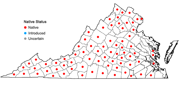 Locations ofVicia caroliniana Walt. in Virginia