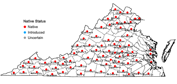 Locations ofVicia caroliniana Walt. in Virginia