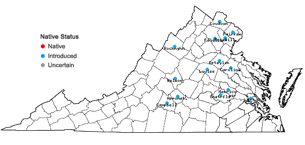 Locations ofVicia cracca L. in Virginia