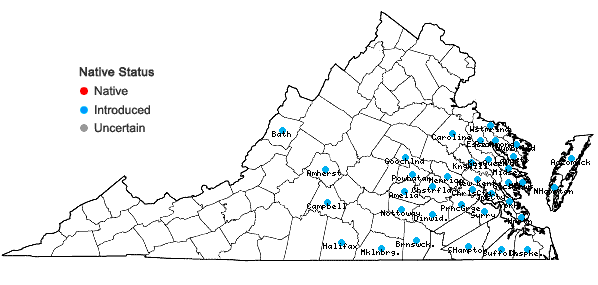 Locations ofVicia hirsuta (L.) S.F. Gray in Virginia