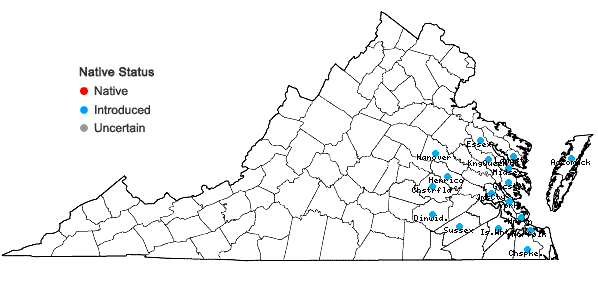 Locations ofVicia lathyroides L. in Virginia