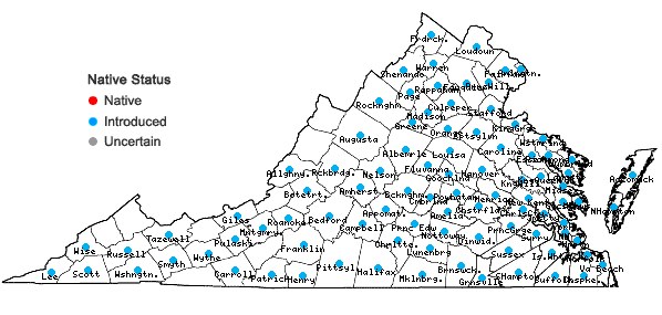 Locations ofVicia sativa L. in Virginia