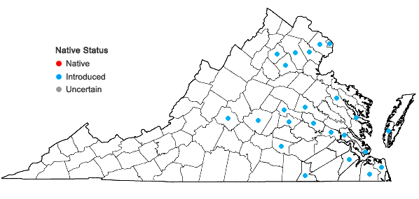 Locations ofVicia tetrasperma (L.) Schreb. in Virginia