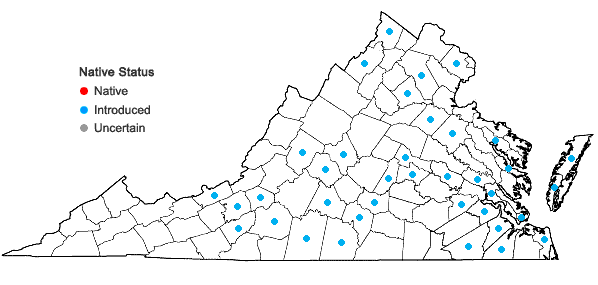 Locations ofVicia villosa Roth ssp. villosa in Virginia