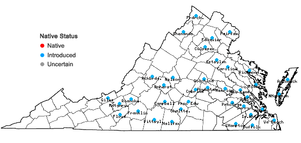 Locations ofVicia villosa Roth ssp. villosa in Virginia