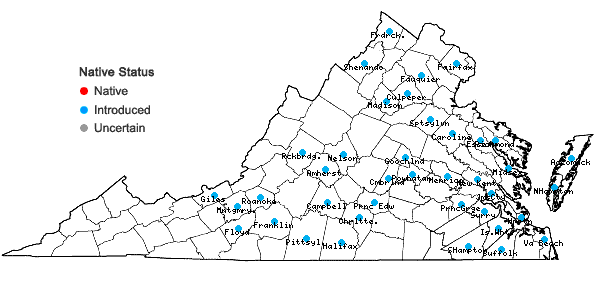 Locations ofVicia villosa Roth ssp. villosa in Virginia