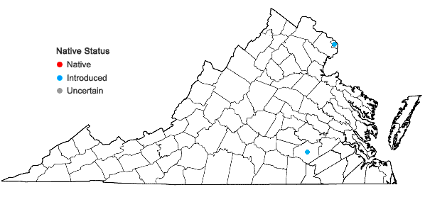Locations ofVigna unguiculata (L.) Walp. in Virginia
