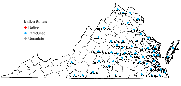 Locations ofVinca major L. in Virginia