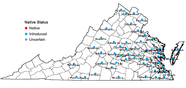 Locations ofVinca major L. in Virginia