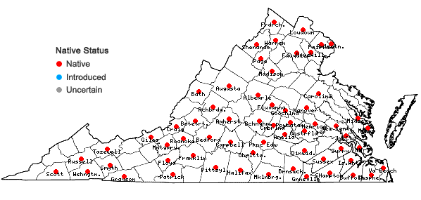 Locations ofViola affinis Le Conte in Virginia