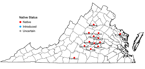 Locations ofViola communis Pollard in Virginia