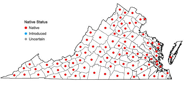 Locations ofViola cucullata Ait. in Virginia