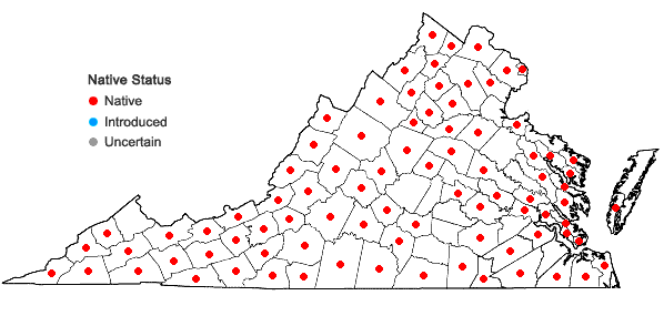 Locations ofViola cucullata Ait. in Virginia