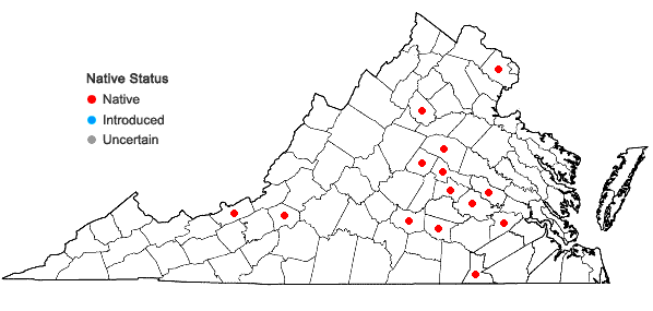 Locations ofViola emarginata (Nutt.) Leconte in Virginia