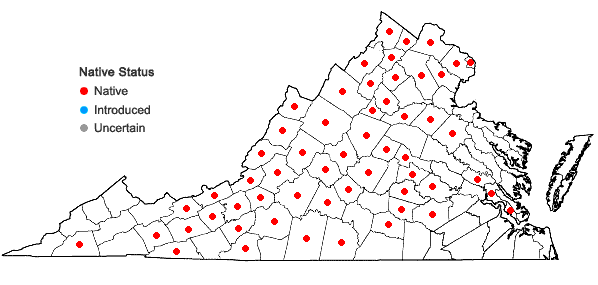 Locations ofViola fimbriatula J.E. Smith in Virginia