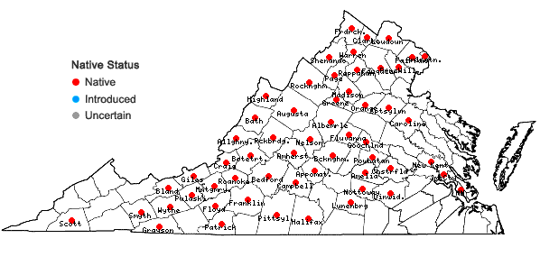 Locations ofViola fimbriatula J.E. Smith in Virginia