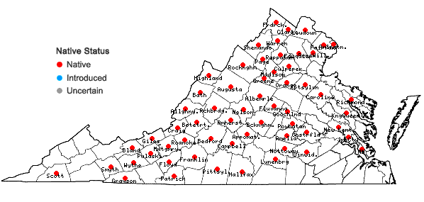 Locations ofViola fimbriatula J.E. Smith in Virginia