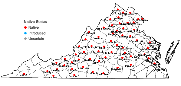 Locations ofViola fimbriatula J.E. Smith in Virginia