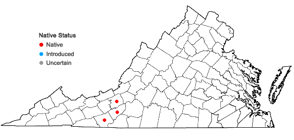 Locations ofViola glaberrima (Gingins) H. House in Virginia