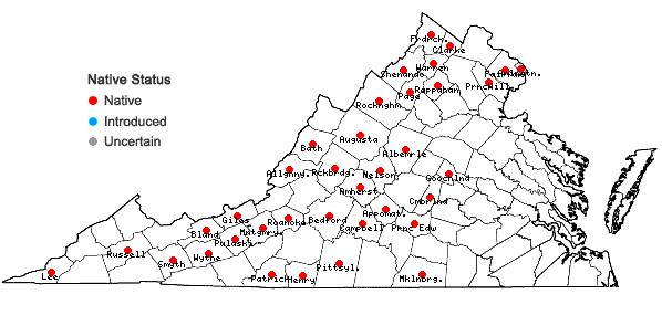 Locations ofViola hirsutula Brainerd in Virginia